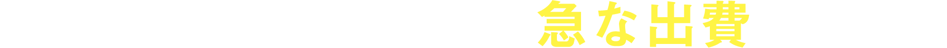 こんな時、あんな時、急な出費に便利！
